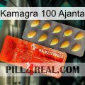 Kamagra 100 Ajanta new01